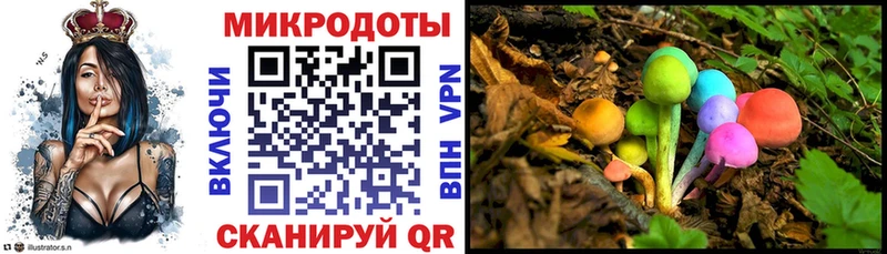 купить сайты Аша Галлюциногенные грибы Psilocybine cubensis
