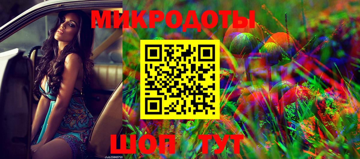 ГАШ Аша