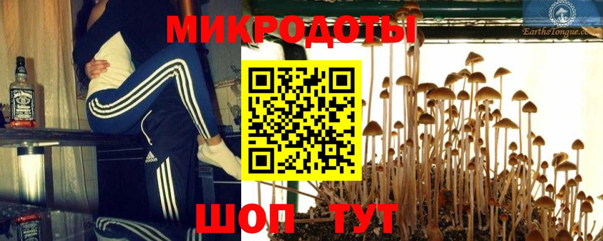 Аша  Псилоцибиновые грибы Psilocybe  Псилоцибиновые грибы мицелий  Вход с VPN 