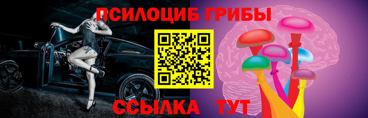 Галлюциногенные грибы Psilocybine cubensis Аша