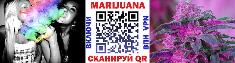 Бошки Шишки гибрид  Аша 
