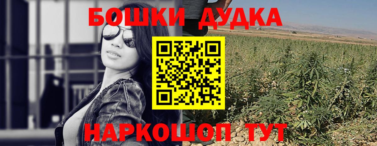 Конопля план Аша